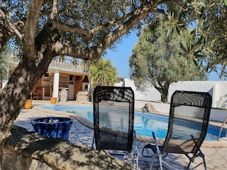 Villa Homps Außenaufnahme 10