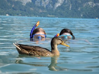 Holiday apartment Unterach am Attersee Environment 33