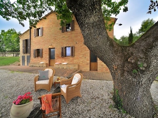 Ferienhaus Sant'Angelo in Pontano Außenaufnahme 3