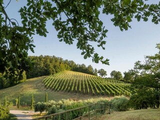 Maison de vacances Otricoli Environnement 28