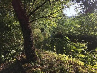 Casa per le vacanze Otricoli Ambiente 21