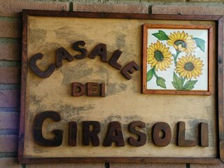 Apartment Solfagnano  35