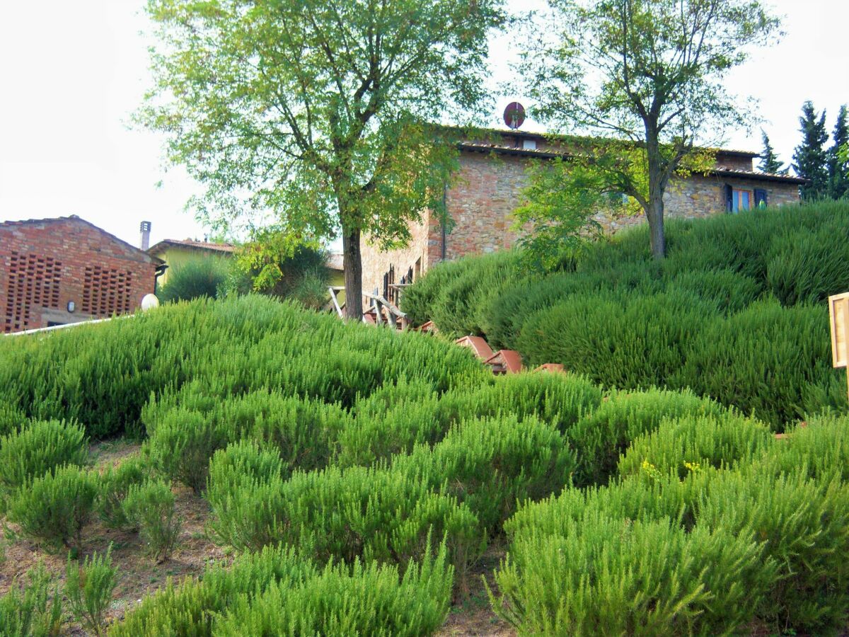 Type de propriété : Ferme Castelfiorentino Enregistrement extérieur 1