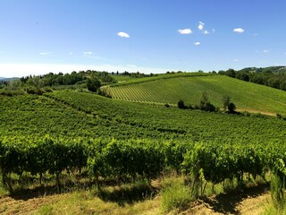 Casa de campo Castelfiorentino Entorno 17