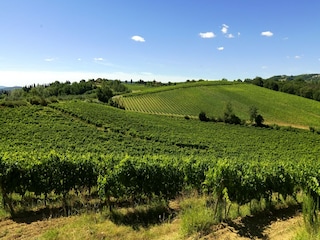 Farmhouse Castelfiorentino Environment 16
