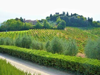 Casa de campo Castelfiorentino Entorno 40