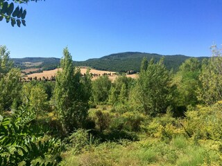 Casa de campo Castelfiorentino Entorno 18