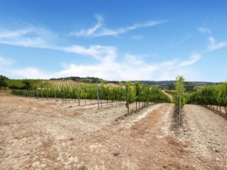Farmhouse Castelfiorentino Environment 25