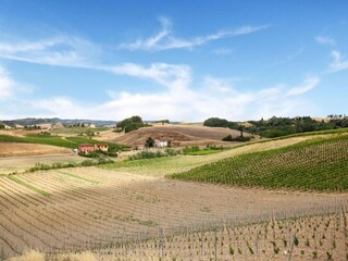 Casa de campo Castelfiorentino Entorno 26