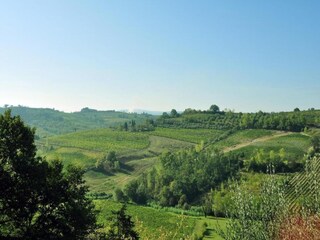 Casa de campo Castelfiorentino Entorno 30