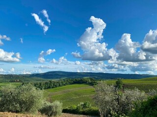 Casa de campo Castelfiorentino Entorno 33
