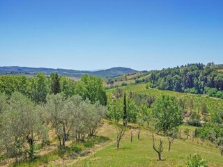 Casa de campo Castelfiorentino Entorno 34