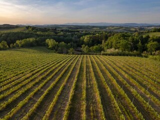 Casa de campo Castelfiorentino Entorno 36