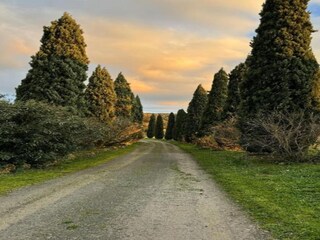 Casa de campo Castelfiorentino Entorno 39