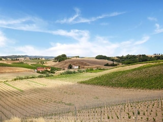 Bauernhof Castelfiorentino Umgebung 35