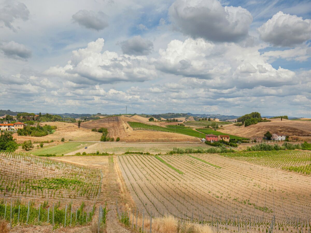 Bauernhof Castelfiorentino Außenaufnahme 8