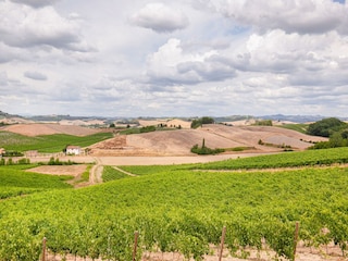 Bauernhof Castelfiorentino Außenaufnahme 4
