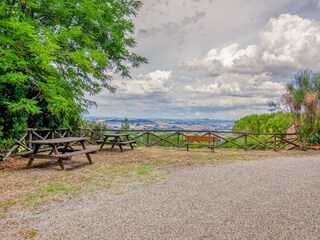 Farmhouse Castelfiorentino Environment 34