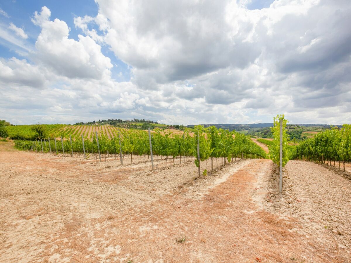 Bauernhof Castelfiorentino Außenaufnahme 13