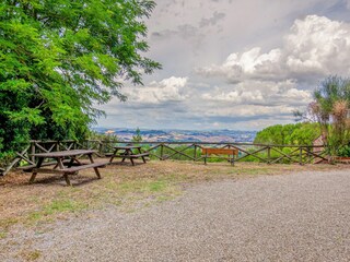 Casa de campo Castelfiorentino Entorno 30