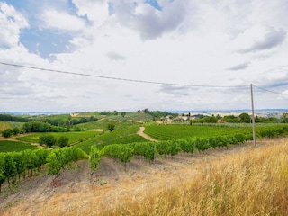 Bauernhof Castelfiorentino Umgebung 36