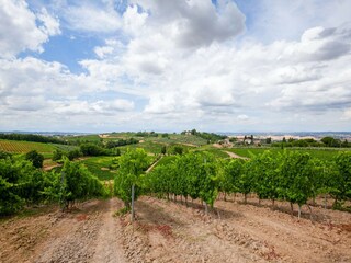 Farmhouse Castelfiorentino Environment 33