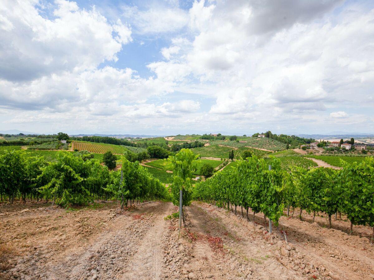 Bauernhof Castelfiorentino Umgebung 32