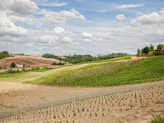 Fattoria Castelfiorentino Registrazione all'aperto 9