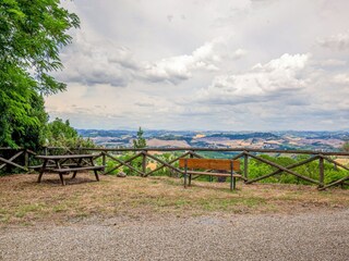 Type de propriété : Ferme Castelfiorentino Environnement 34