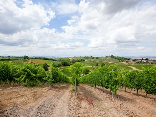 Bauernhof Castelfiorentino Umgebung 34