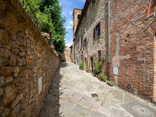 Farmhouse Castelfiorentino Environment 36
