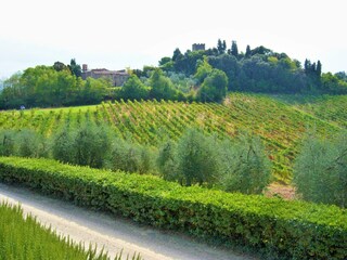 Farmhouse Castelfiorentino Environment 38