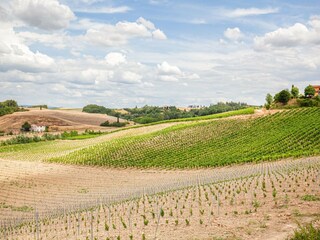 Boerderij Castelfiorentino Buitenaudio-opname 1