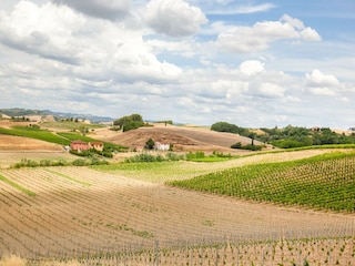 Bauernhof Castelfiorentino Außenaufnahme 13