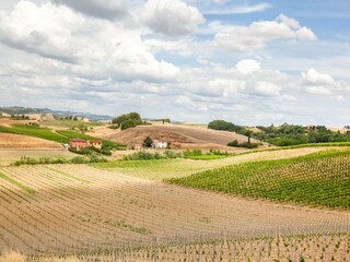 Casa de campo Castelfiorentino Grabación al aire libre 12