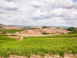 Bauernhof Castelfiorentino Außenaufnahme 4