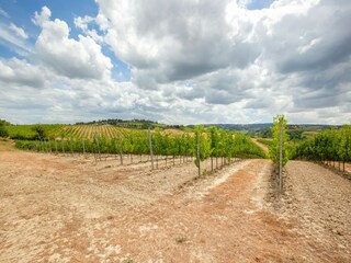 Casa de campo Castelfiorentino Entorno 39