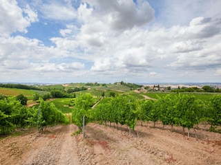 Bauernhof Castelfiorentino Umgebung 35