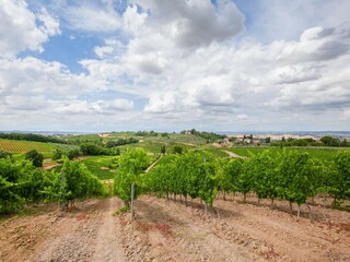 Type de propriété : Ferme Castelfiorentino Environnement 35