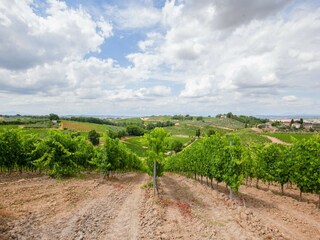 Casa de campo Castelfiorentino Entorno 40