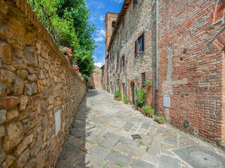 Type de propriété : Ferme Castelfiorentino Environnement 37