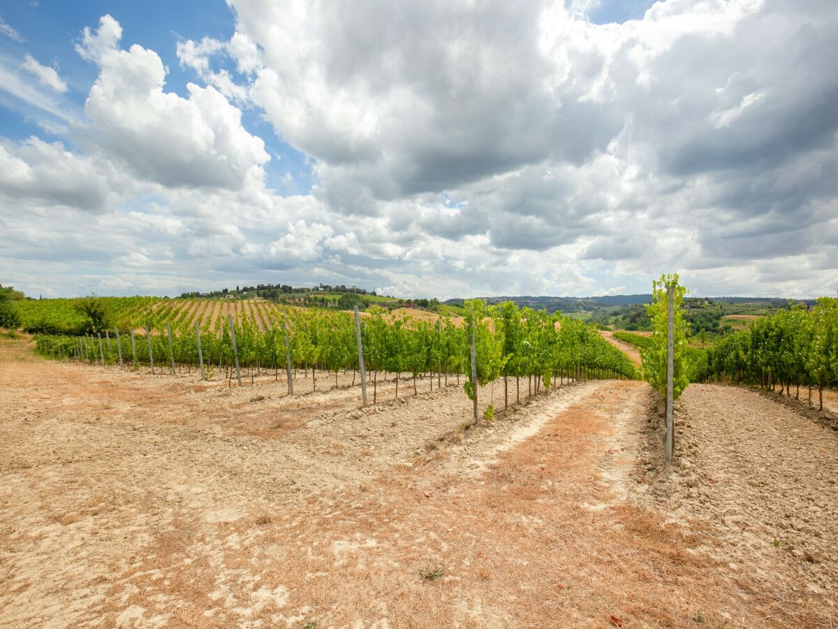 Bauernhof Castelfiorentino Umgebung 35