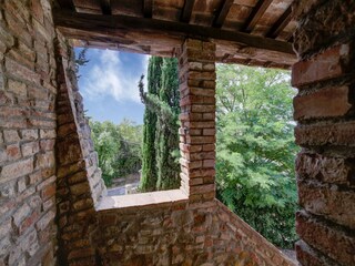 Bauernhof Castelfiorentino Außenaufnahme 6