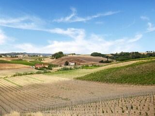 Bauernhof Castelfiorentino Außenaufnahme 2