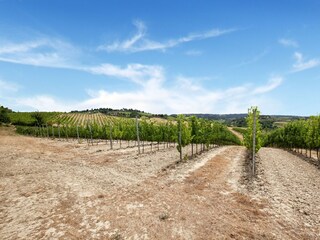 Casa de campo Castelfiorentino Entorno 34