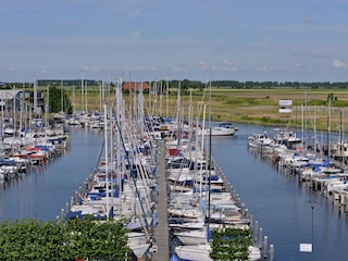Apartment Veere Umgebung 32