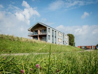 Apartment Kamperland Umgebung 33