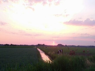 Vakantiehuis Zevenbergen Omgeving 20