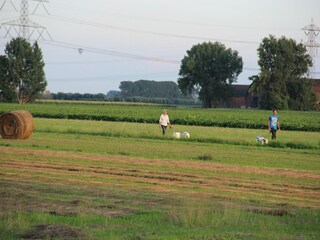 Maison de vacances Zevenbergen Environnement 21