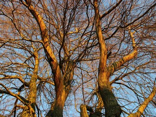 Casa per le vacanze Zevenbergen Ambiente 23